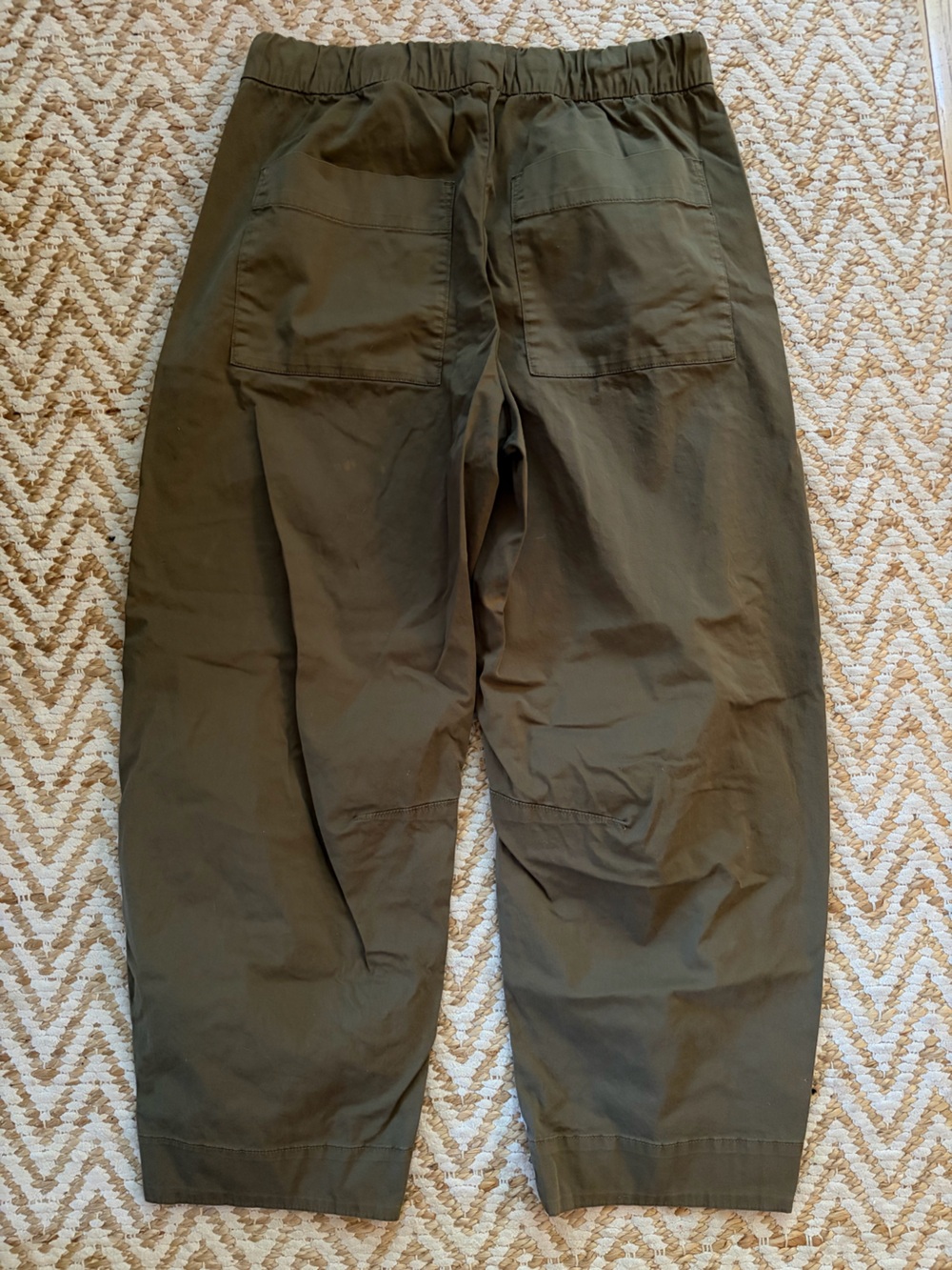Everlane Easy Barrel Pants in Kalamata - Picture 9 of 10